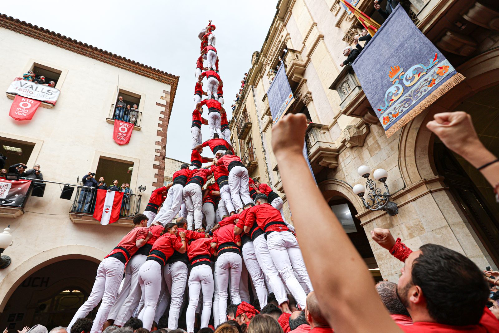 3 de 10 amb folre i manilles