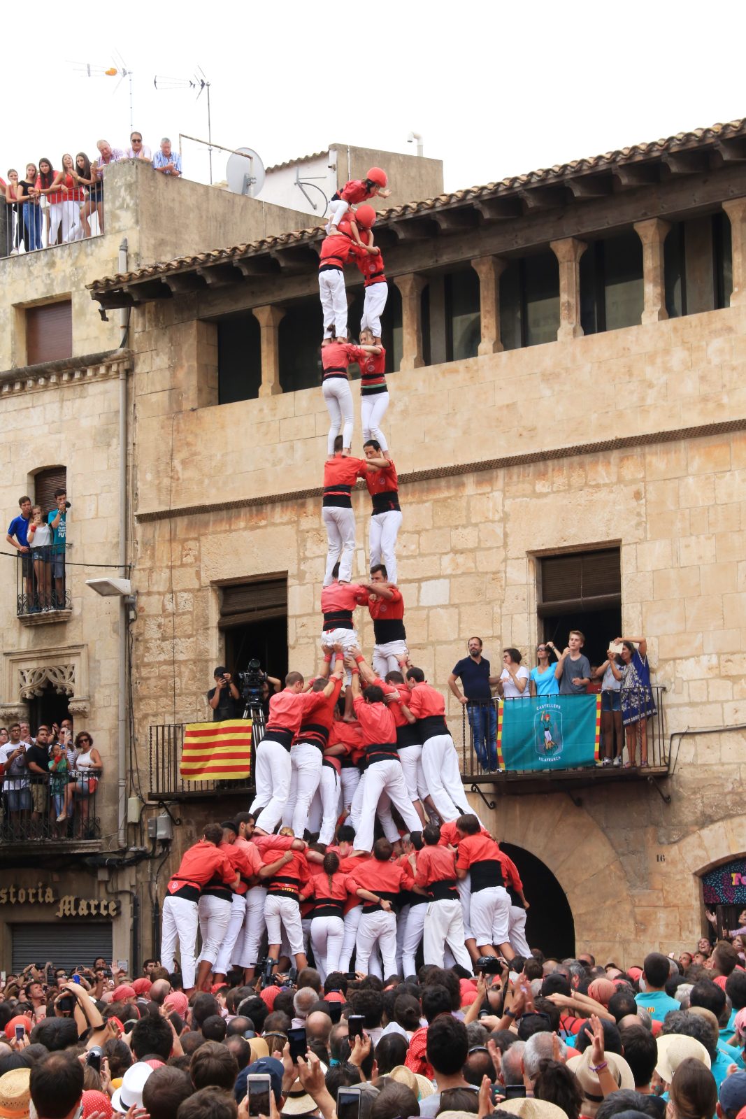 2 de 9 amb folre i manilles