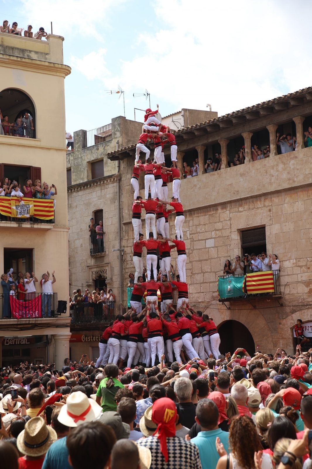 5 de 9 amb folre (2023)